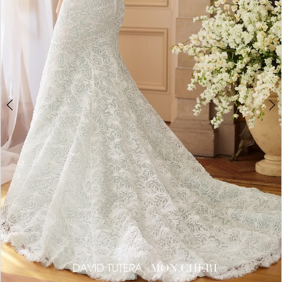 MON CHERI DAVID TUTERA WEDDING GOWN - Picture 11 of 15